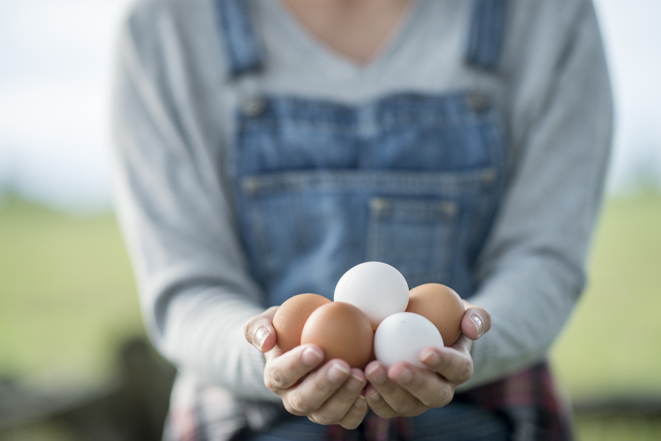 Find out more about eggs, the most nutritious food