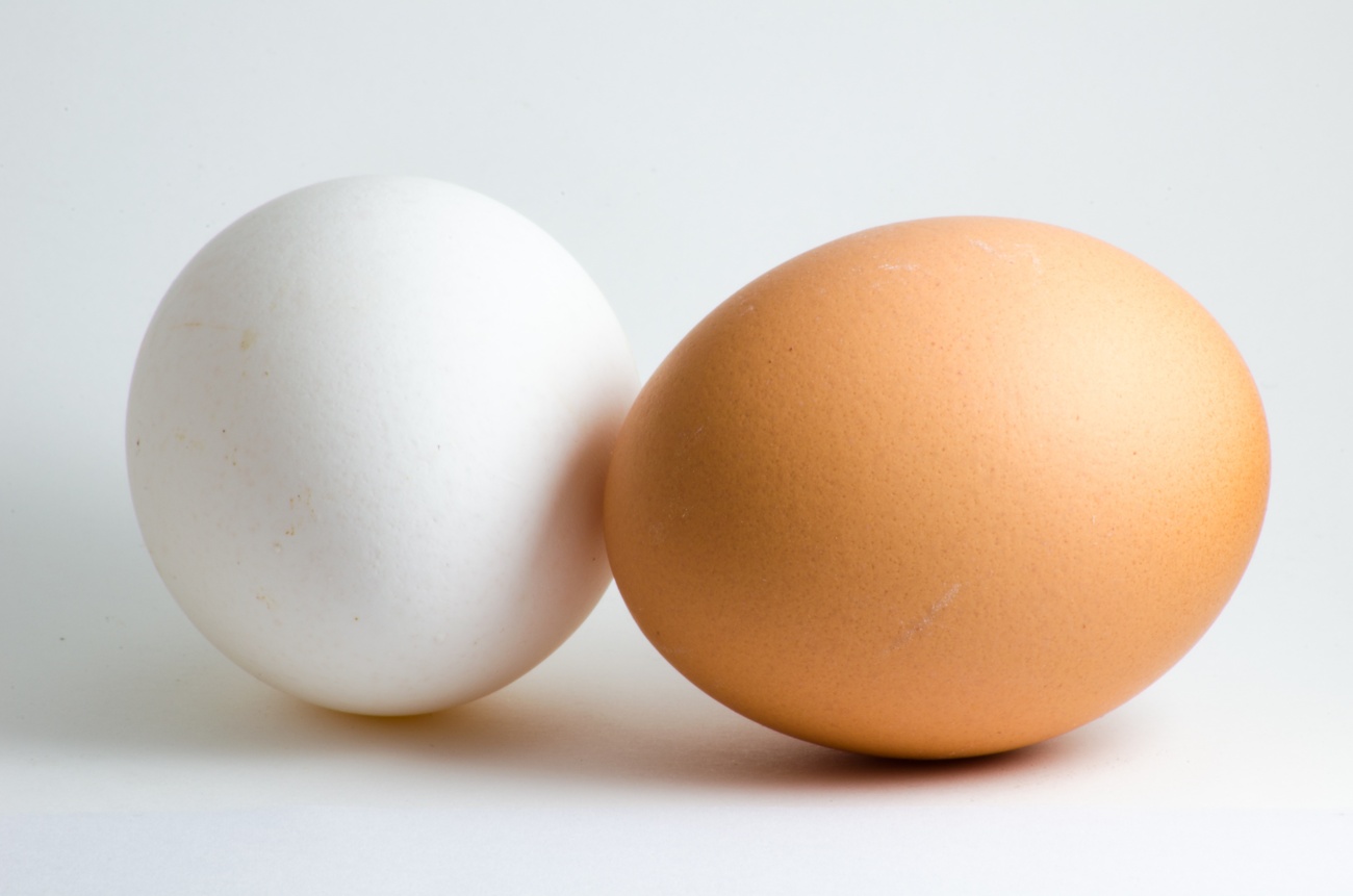 Are white or brown eggs better?