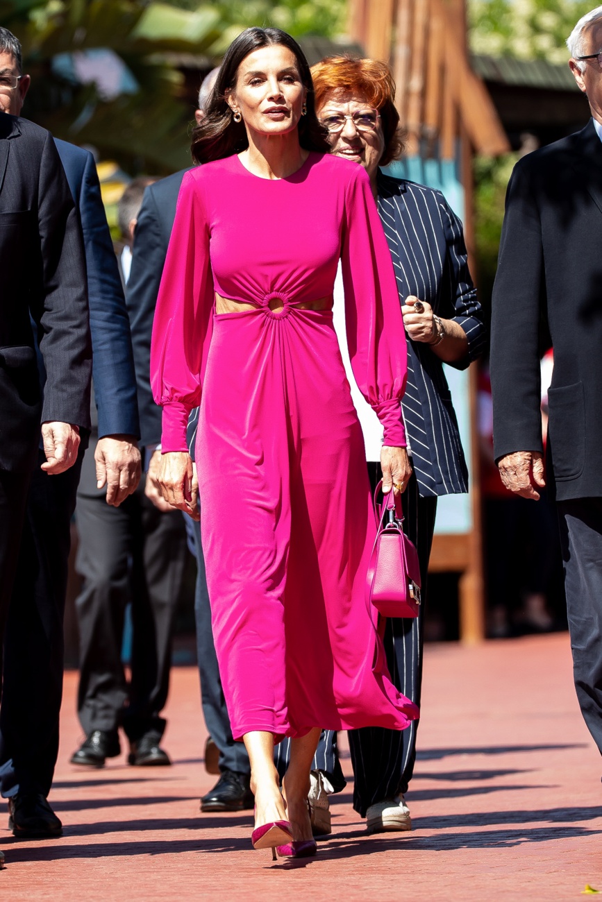 Letizia presides over the World Red Cross Day ceremony Letizia presides over the World Red Cross Day ceremony
