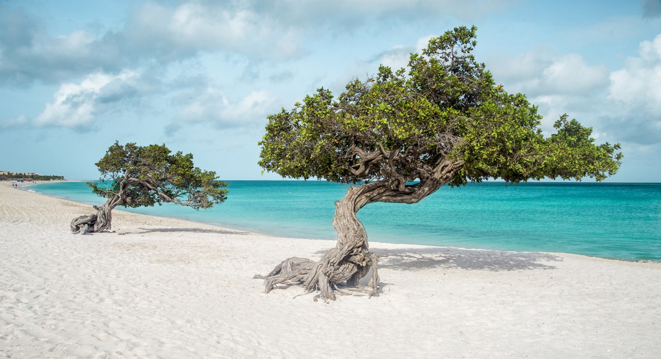 Eagle Beach (Palm/Eagle Beach, Aruba)