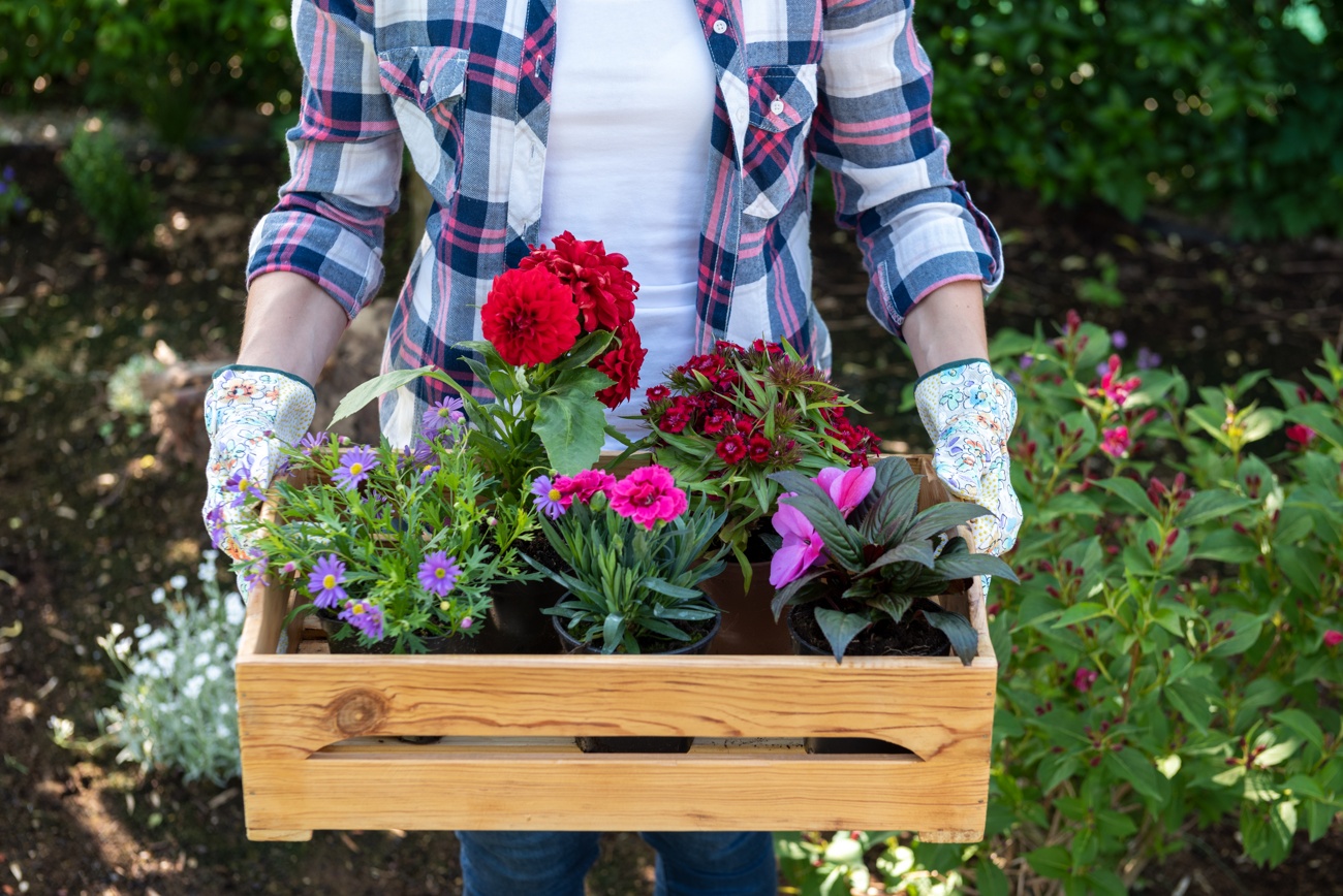 La jardinería puede estropear tus uñas La jardinería puede estropear tus uñas