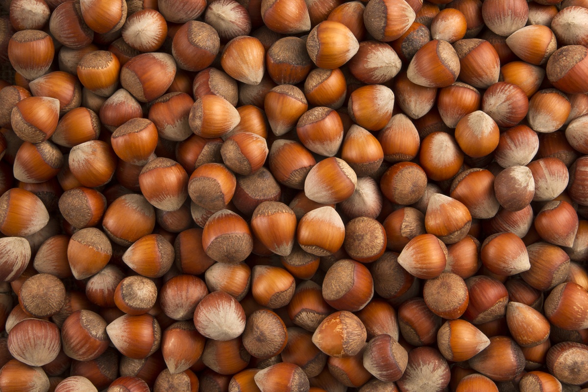 Hazelnuts