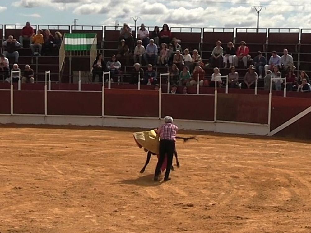 JOSÉ ORTEGA CANO TOREA UNA VAQUILLA EN VILLALBA DE ALCOR, SEVILLA JOSÉ