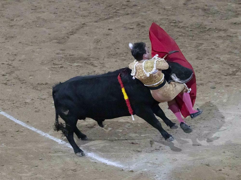 GONZALO CABALLERO EN LA PLAZA DE TOROS DE NAVALCARNERO GONZALO