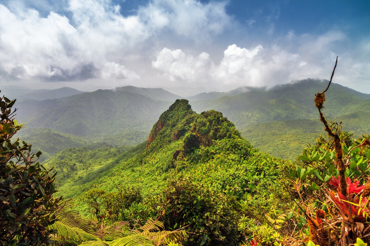 Bosque Nacional El Yunque (Puerto Rico)