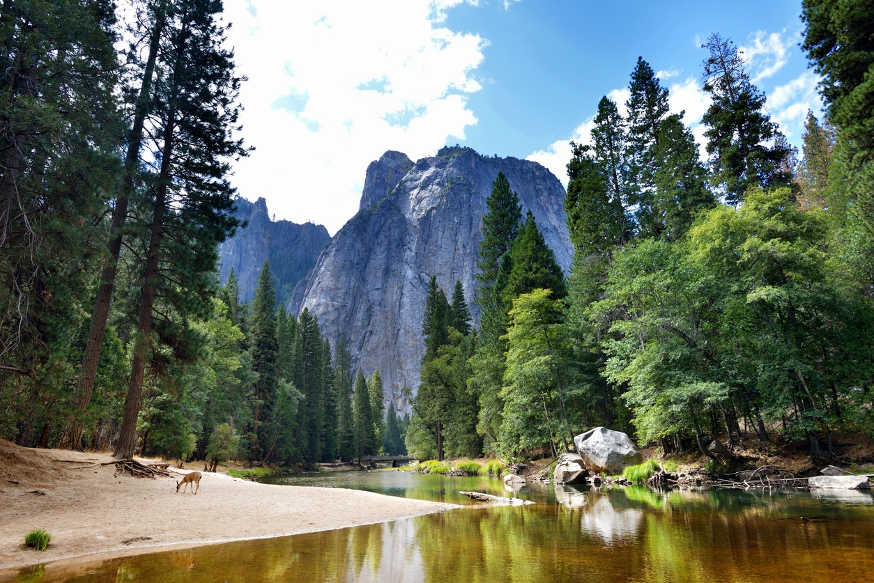 Parque Nacional de Yosemite (Estados Unidos)