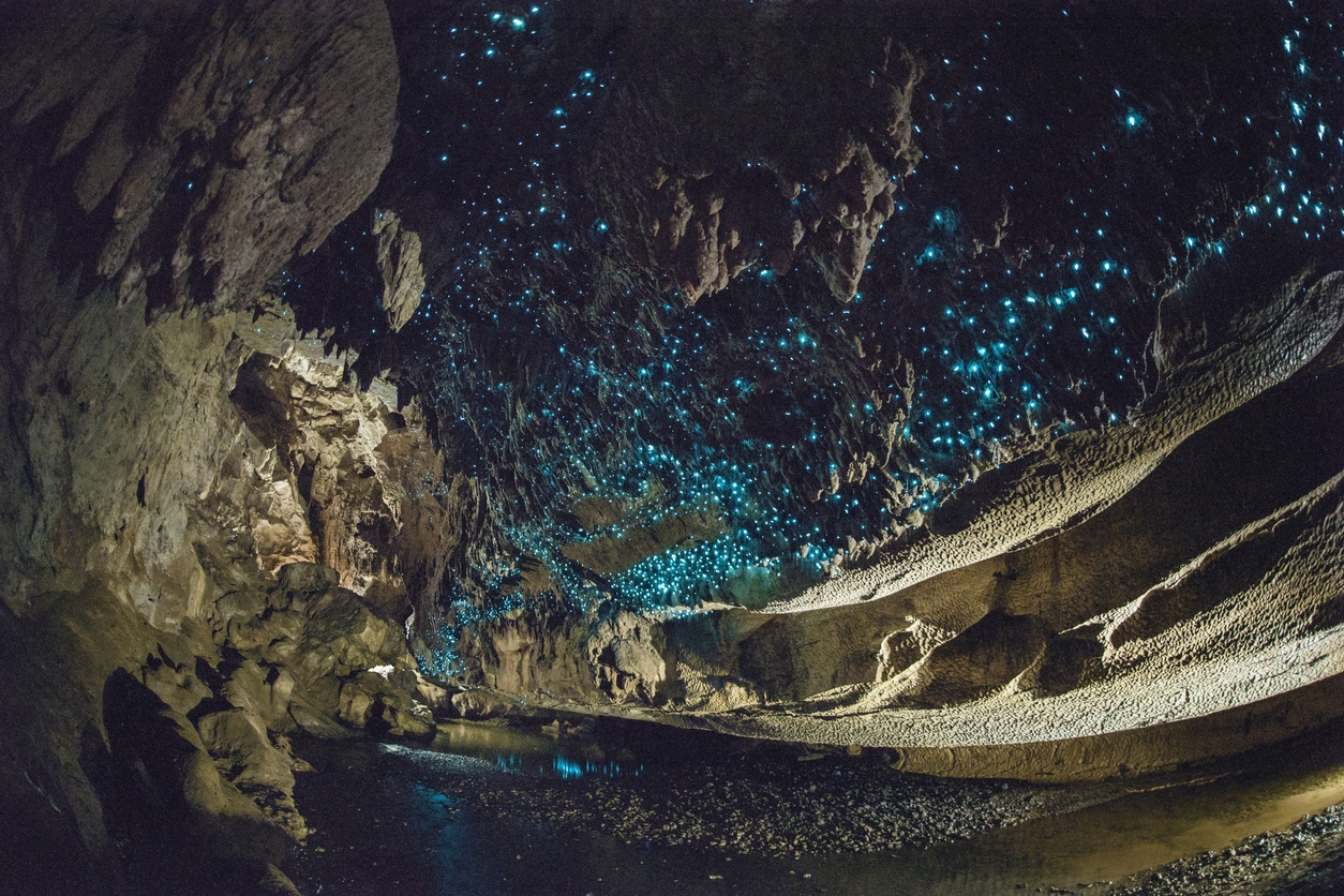 Glühwürmchenhöhlen (Neuseeland)