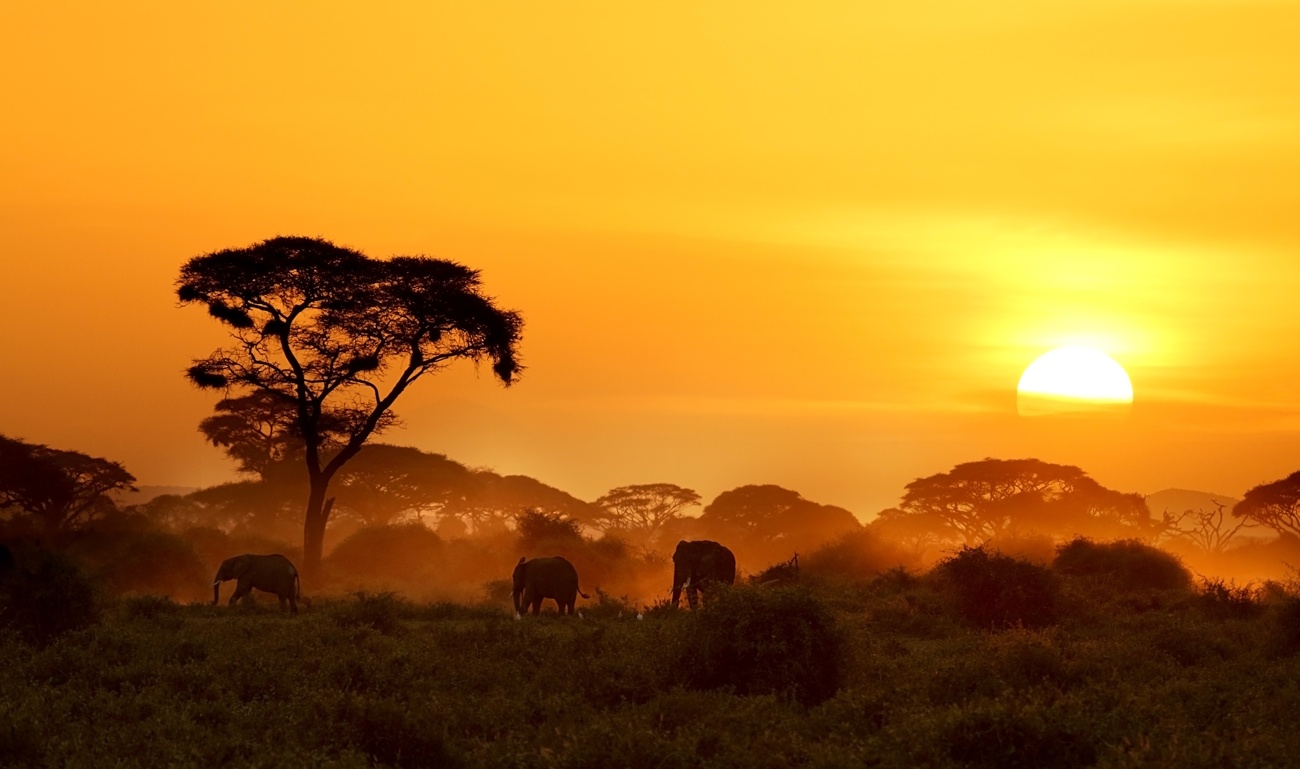 5 maggio: Giornata mondiale del patrimonio africano