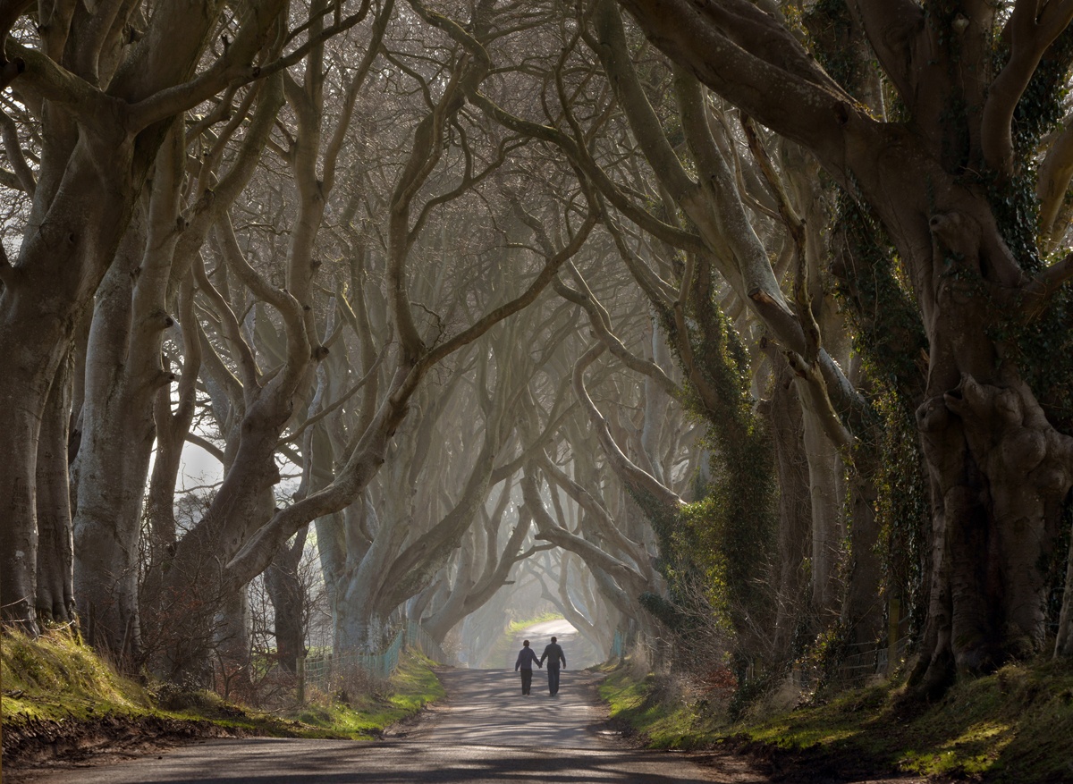 The Dark Hedges (Irlanda do Norte)