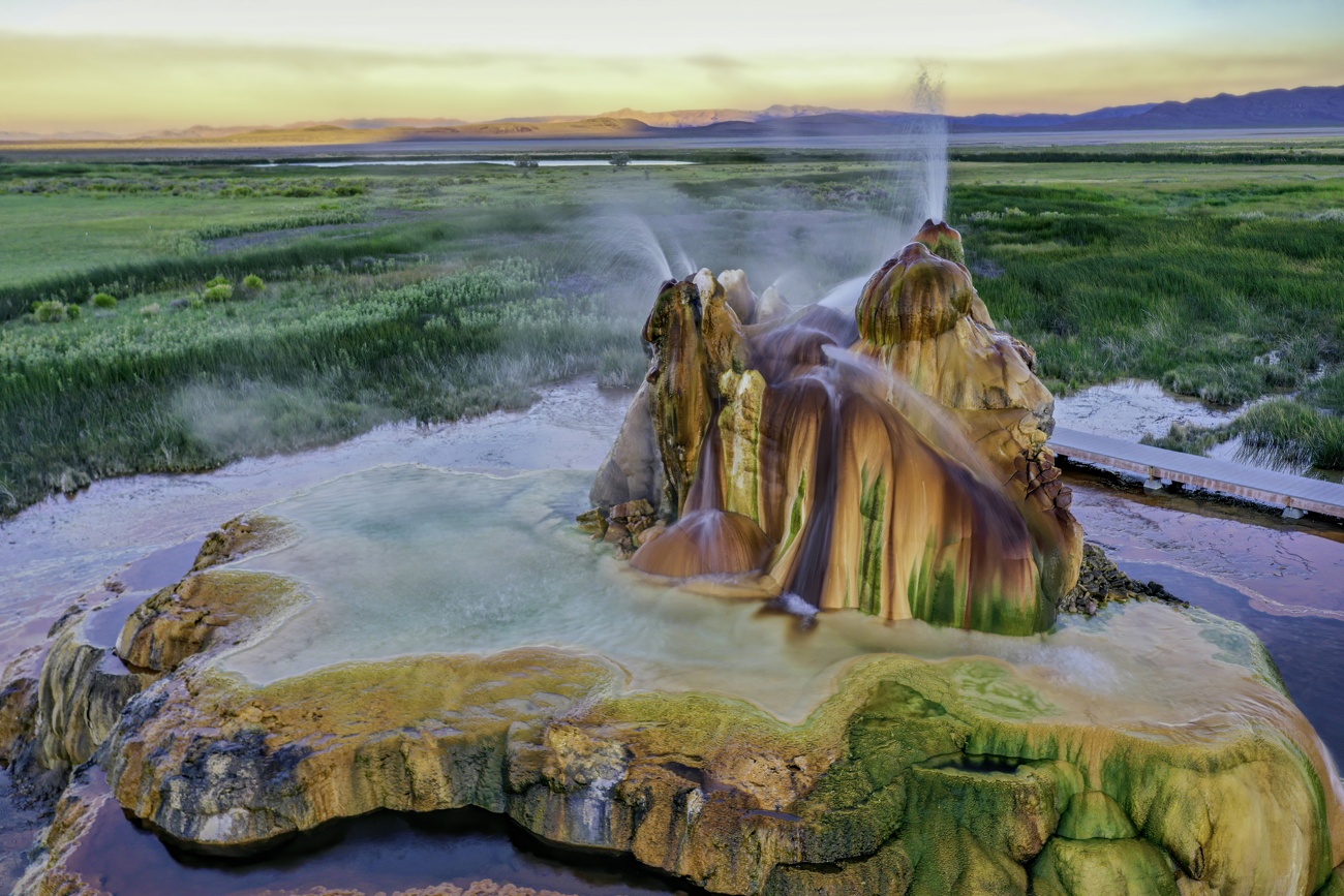 Geyser Fly (United States)