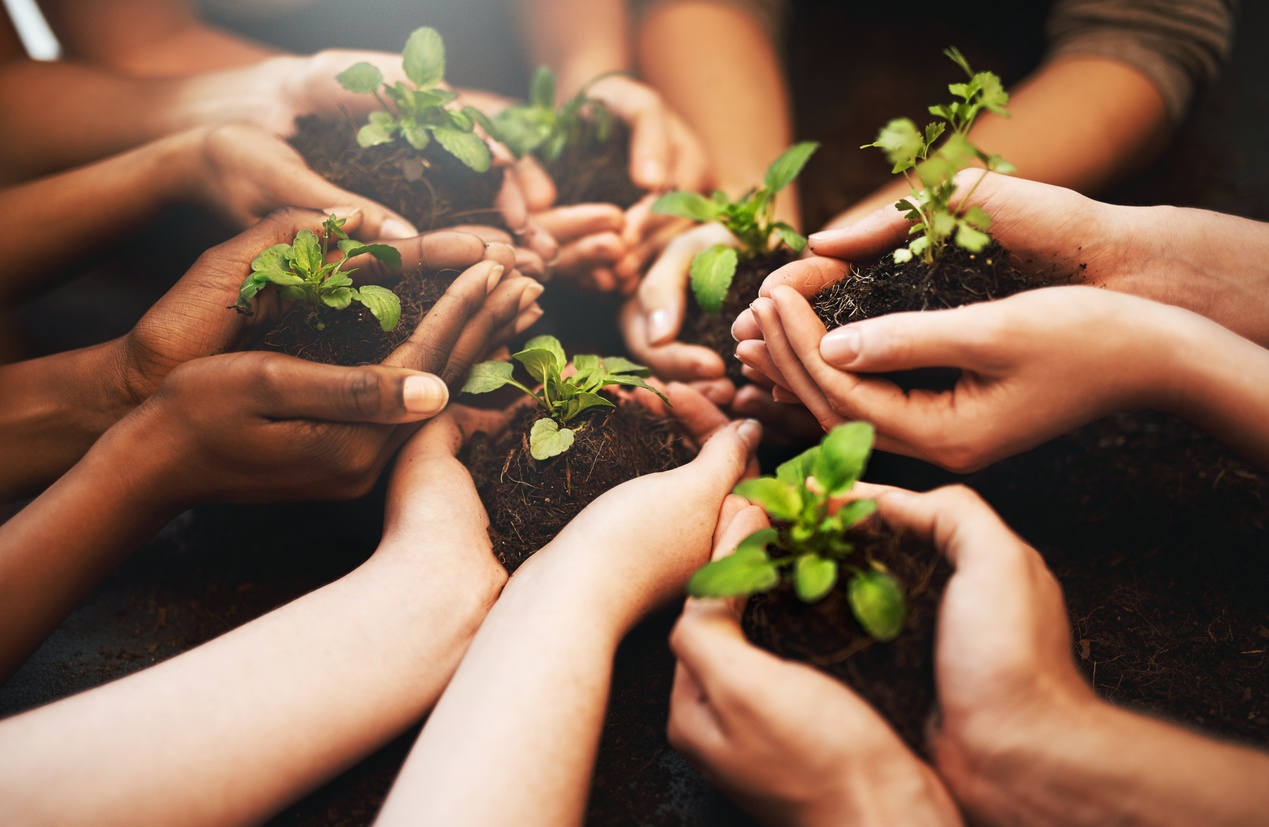 Estas plantas ajudá-lo-ão a