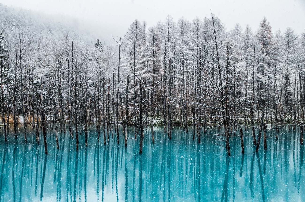 Blue Pond (Japón)