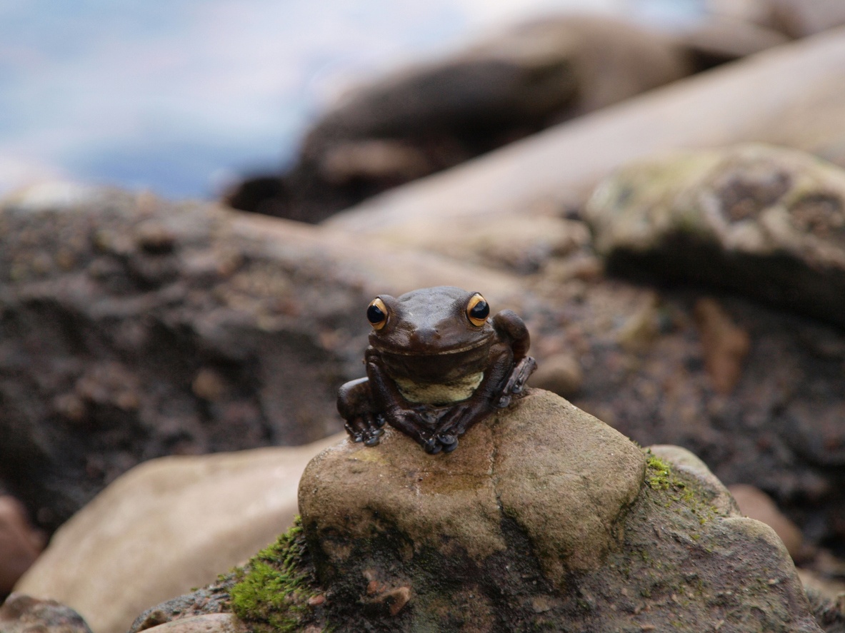 15 riserve naturali per ammirare la fauna selvatica