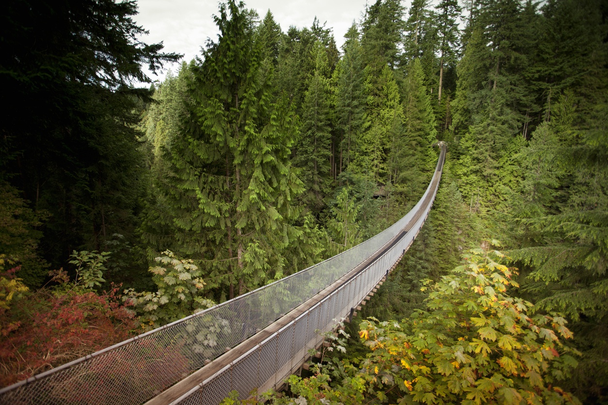 Capilano Bridge (Vancouver, Canada)