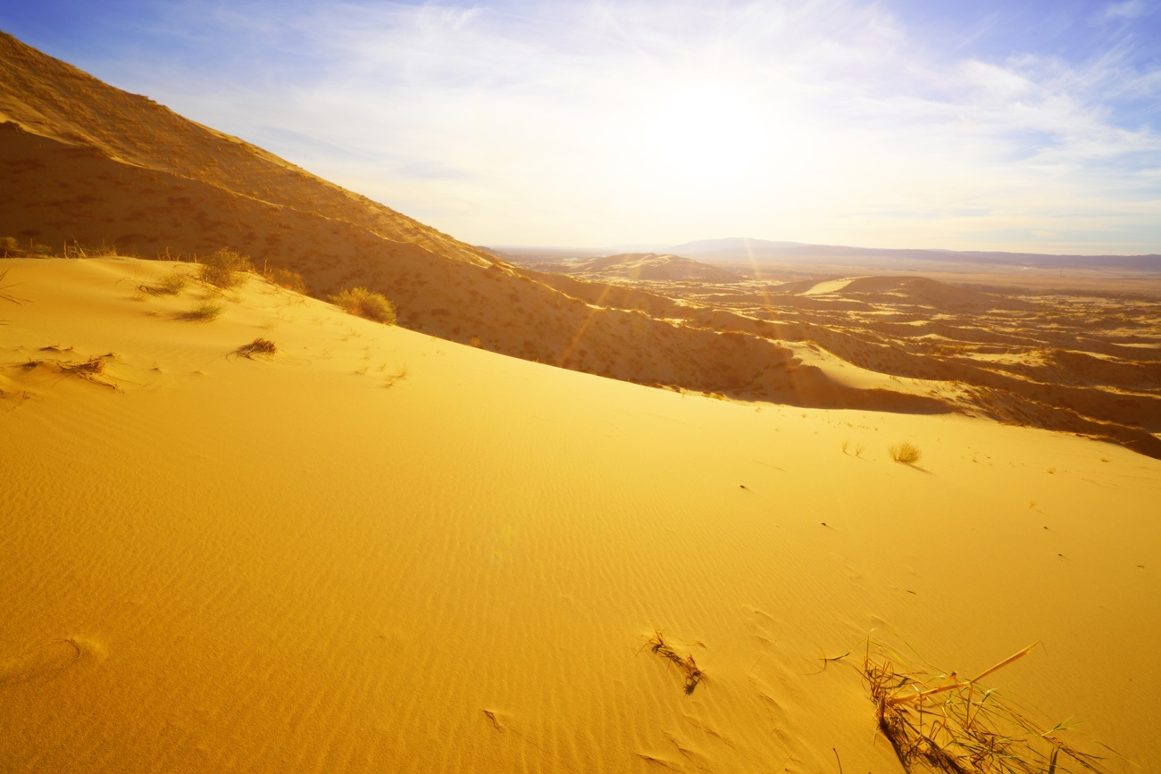 Deserto de Gurbantünggüt