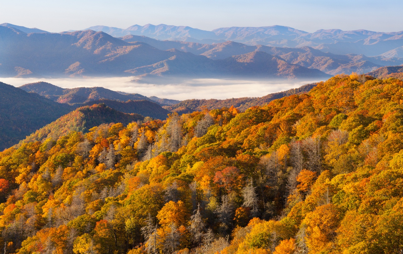 Parc national des Great Smoky Mountains Parc national des Great Smoky Mountains
