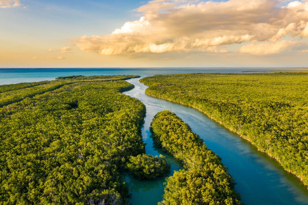 Parque Nacional Everglades