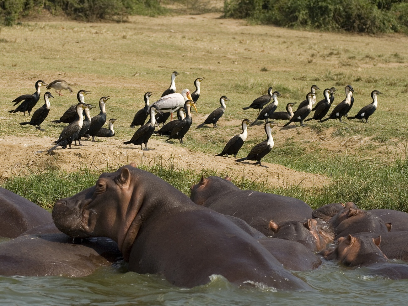 Les 15 réserves naturelles les plus incroyables pour profiter de la faune et de la flore