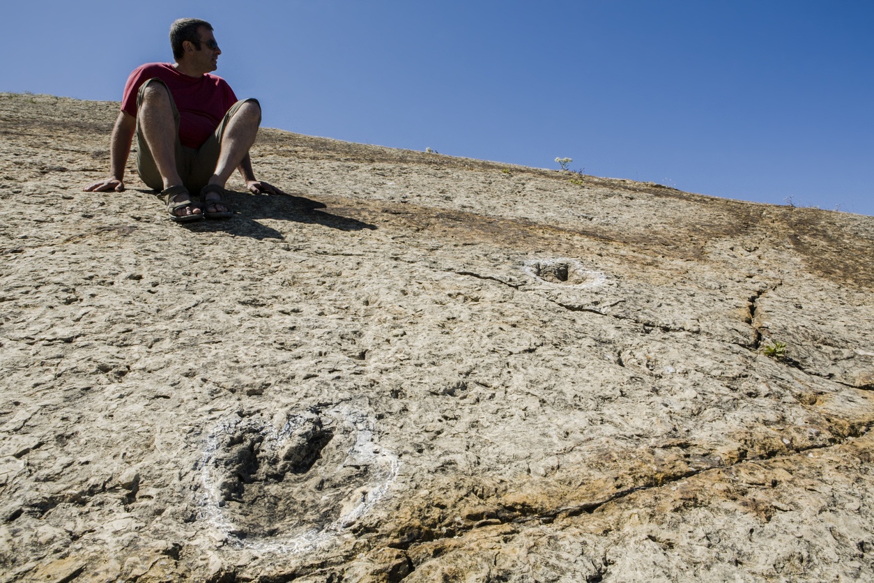 Explore the past: locations with traces of dinosaurs