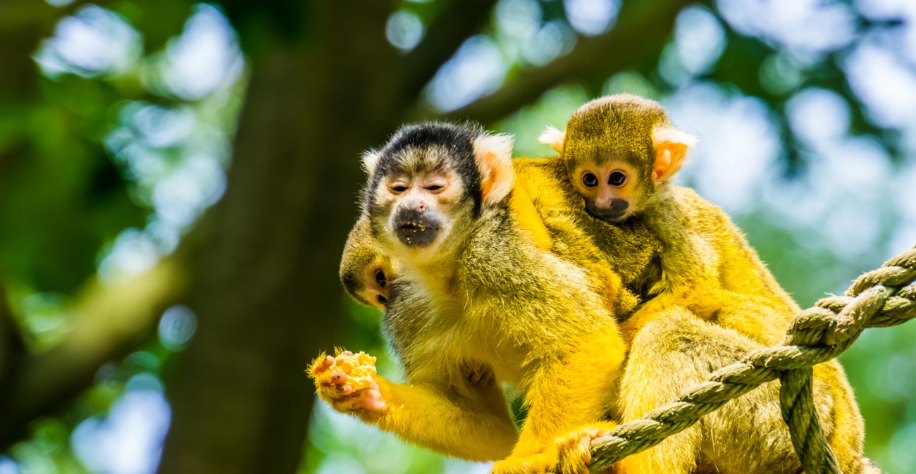 15 Ziele in der Wildnis, um in die Natur einzutauchen