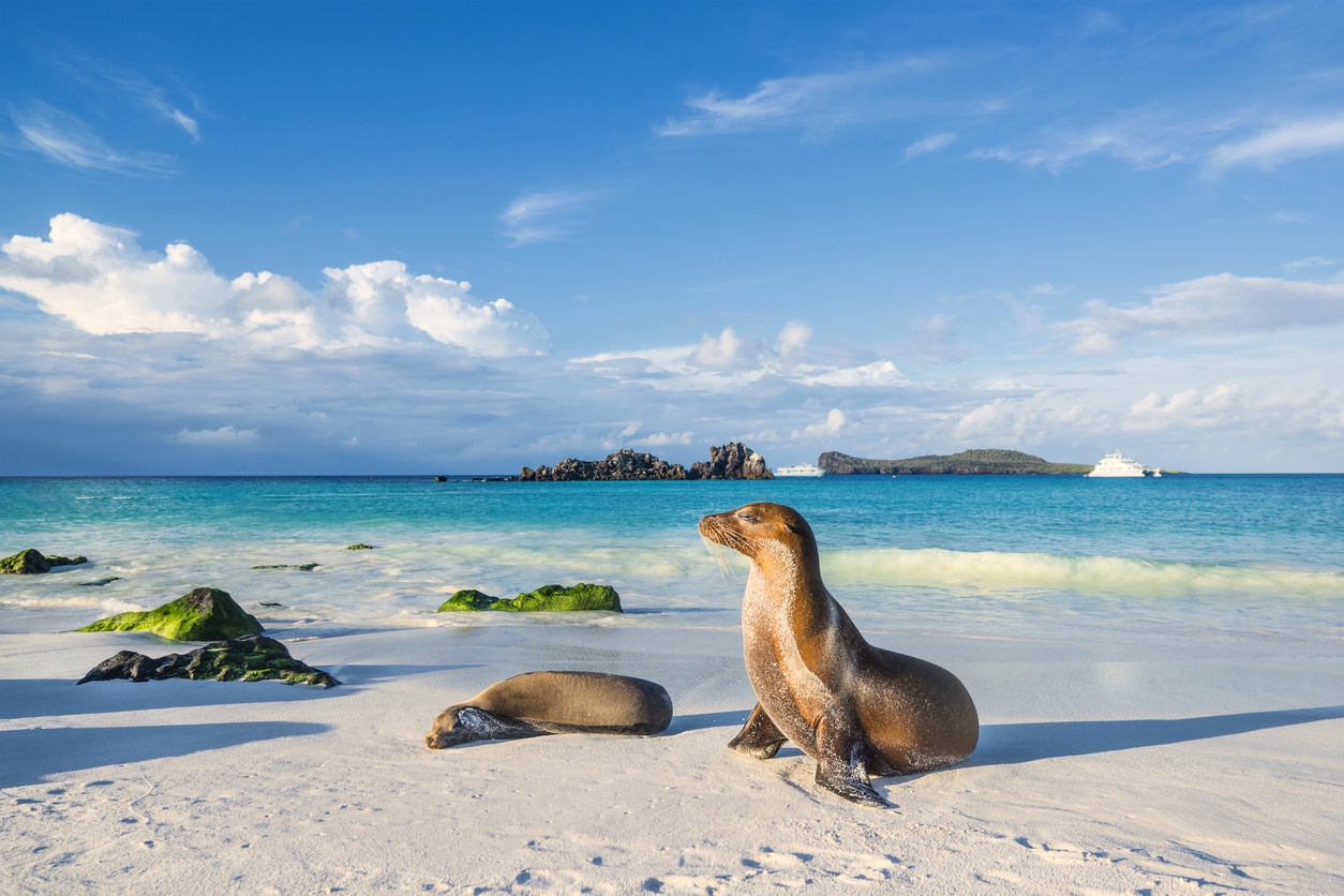 Islas Galápagos (Ecuador)