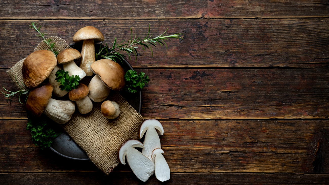 Mushrooms Mushrooms