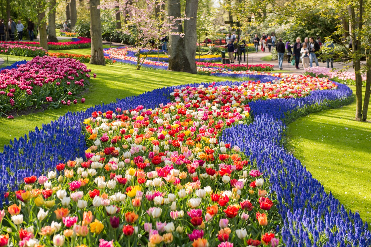 Keukenhof, Países Baixos Keukenhof, Países Baixos