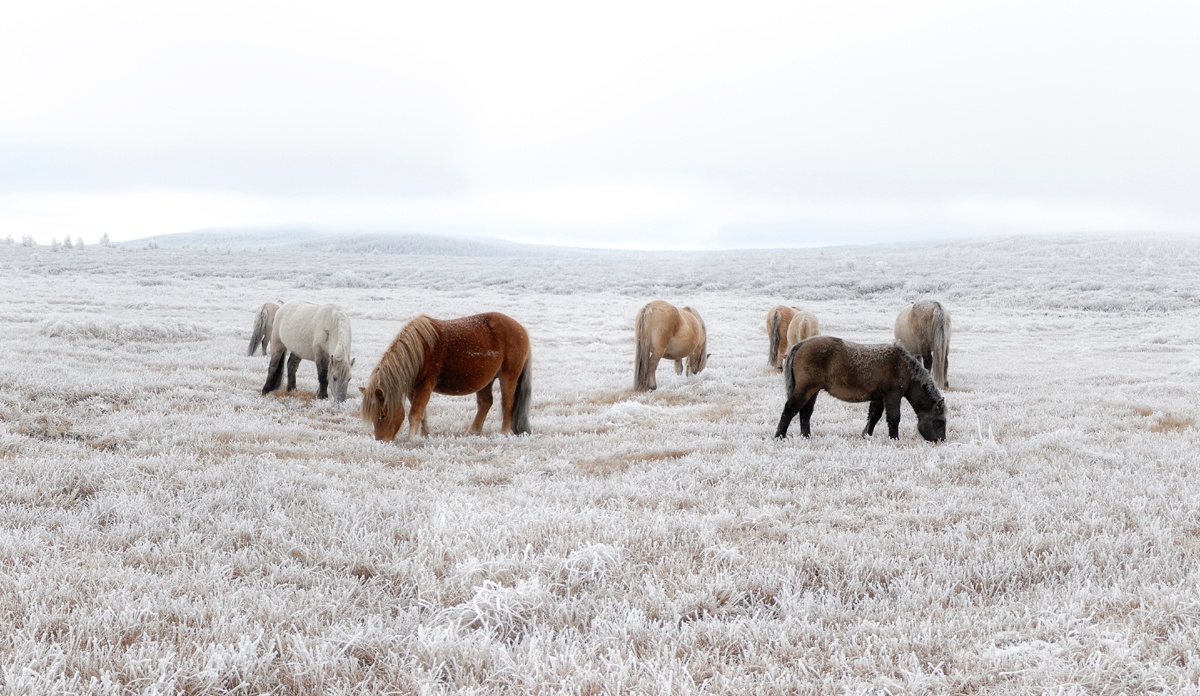 A breathtaking landscape