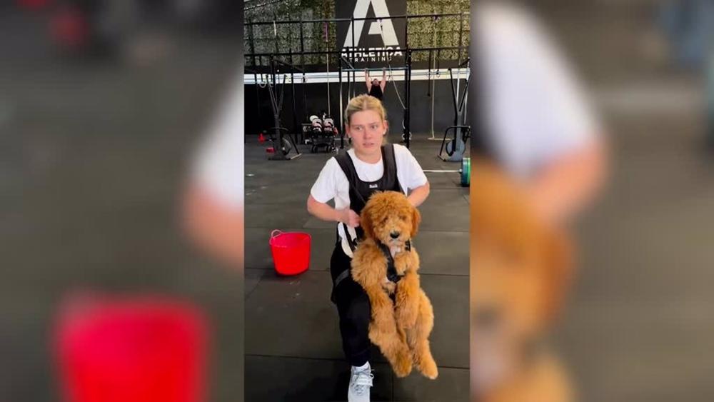 Kayla Skinner, amante del fitness, ha estado utilizando a su perro como chaleco de pesas para alcanzar sus objetivos en el gimnasio Kayla
