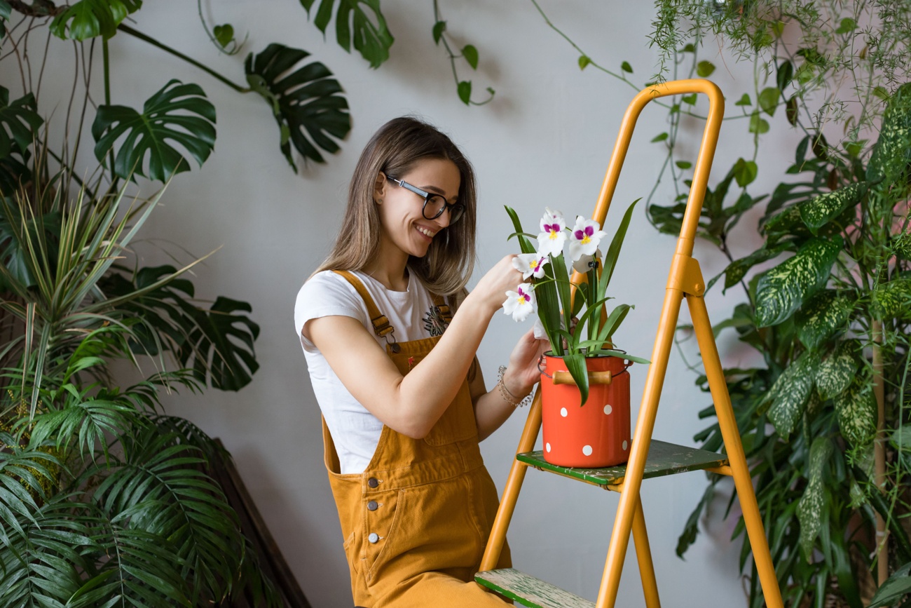 Las plantas proporcionan frescor a los espacios