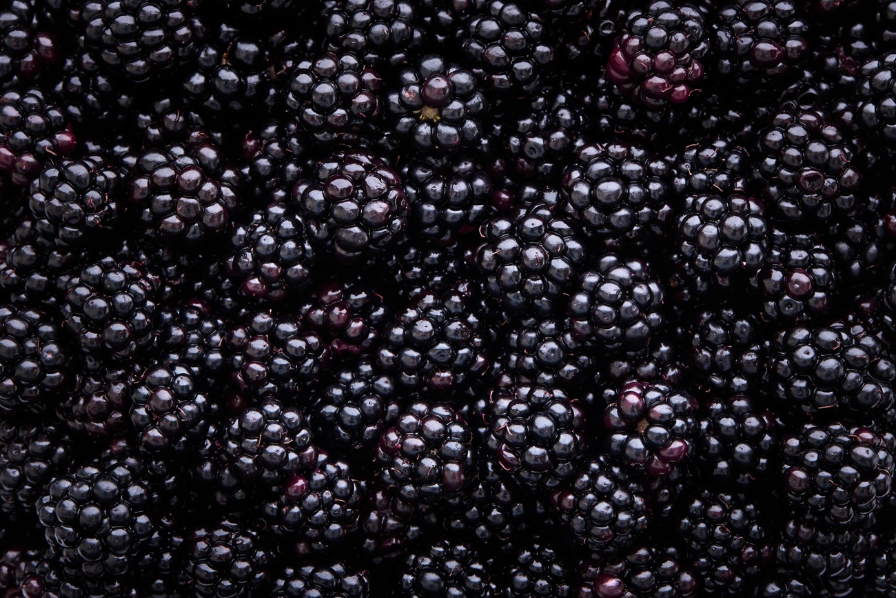 Moras Moras