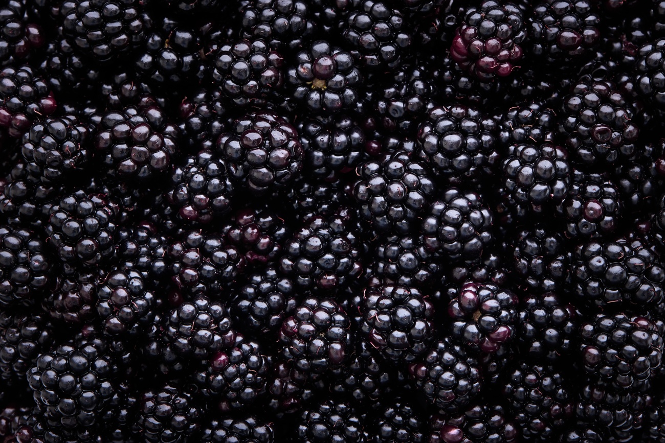 Moras