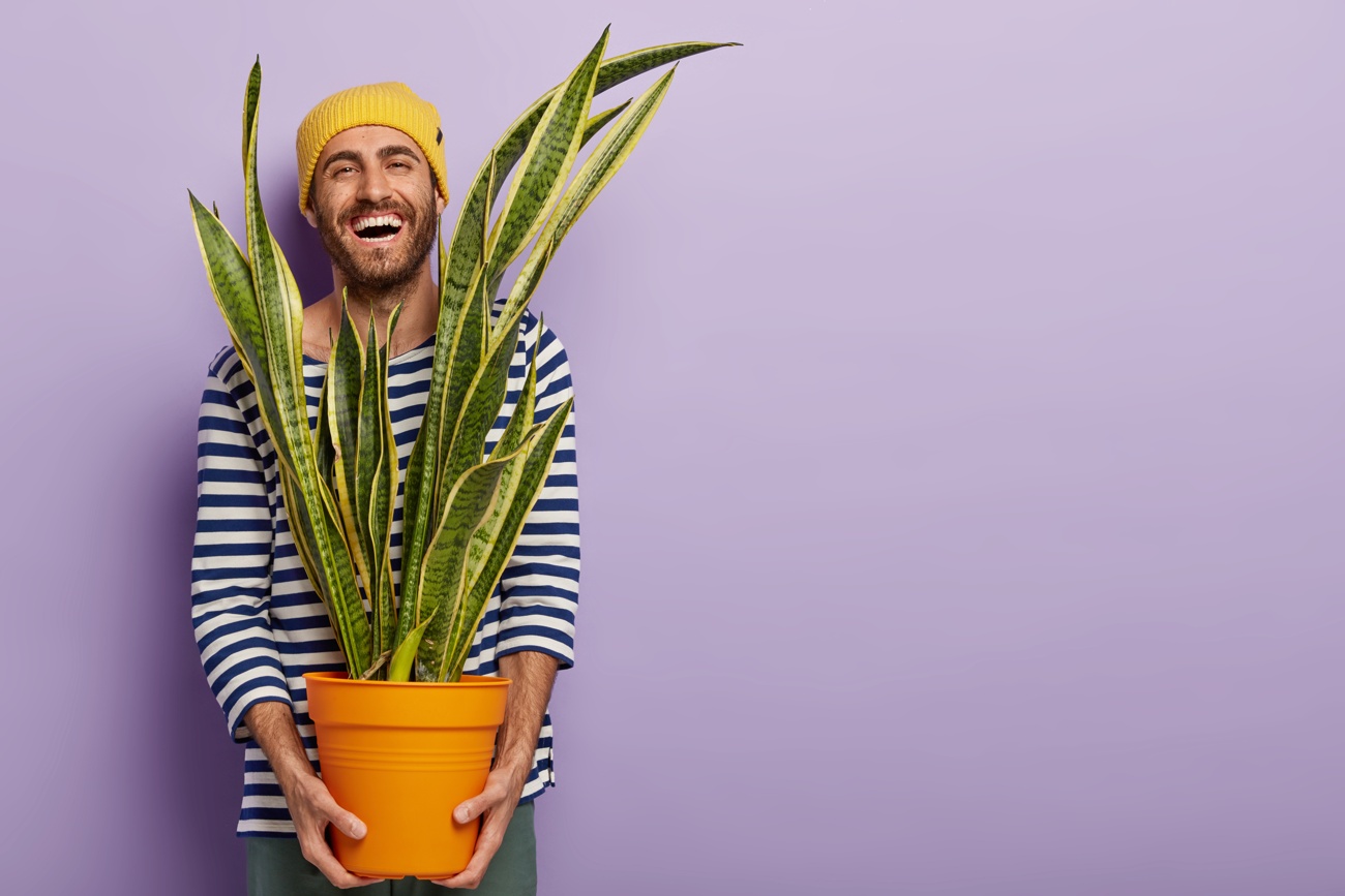 Mueve tu planta si es necesario y déjala estática cuando haya encontrado su lugar