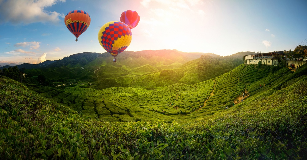 Cameron Highlands (Malasia) Cameron Highlands (Malasia)