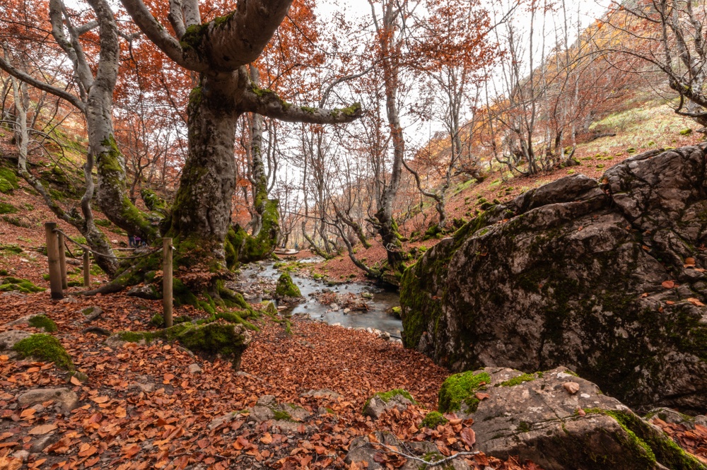 Faedo de Ciñera, León Faedo de Ciñera, León