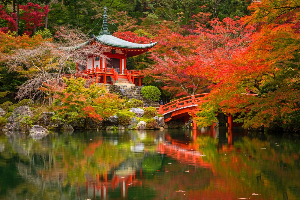 Japón Japón