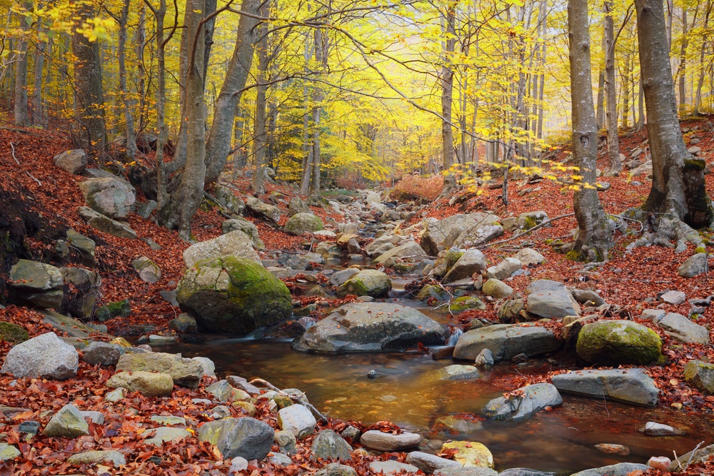 Montseny, Cataluña Montseny, Cataluña