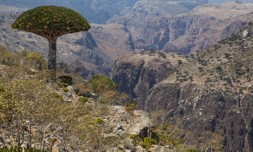 Archipiélago de Socotra (Yemen)