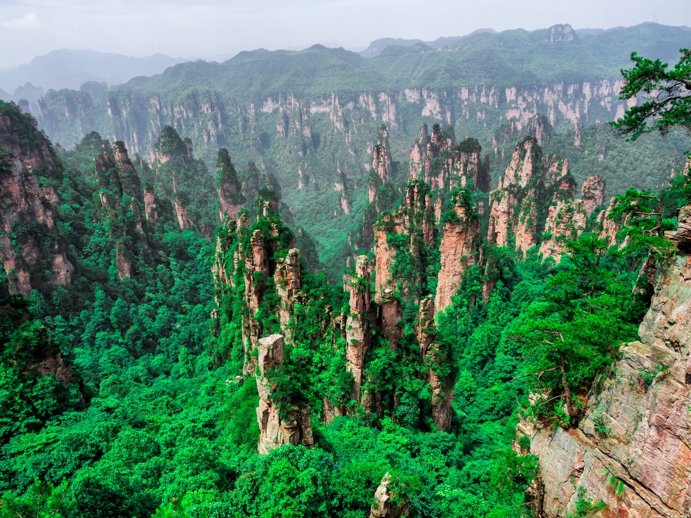 Reserva Natural de la Montaña Tianzi (China)