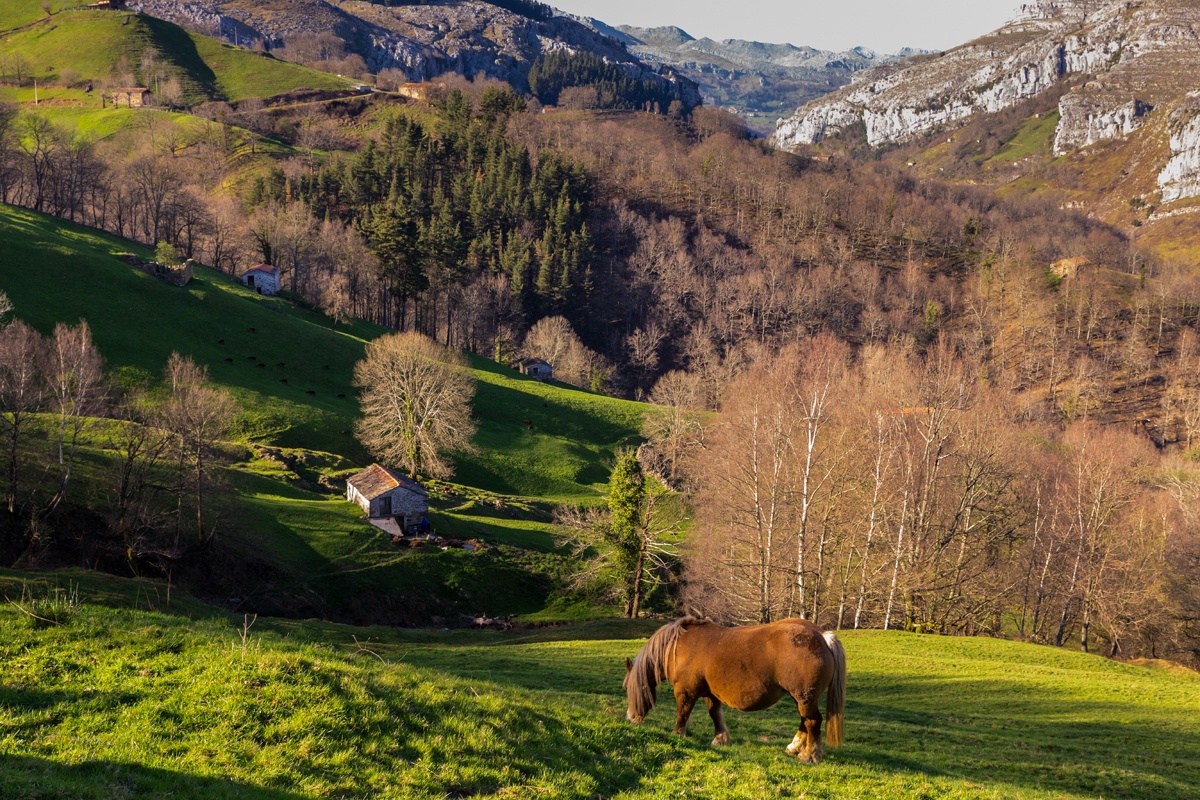 Vega del Pas, Cantabria Vega del Pas, Cantabria