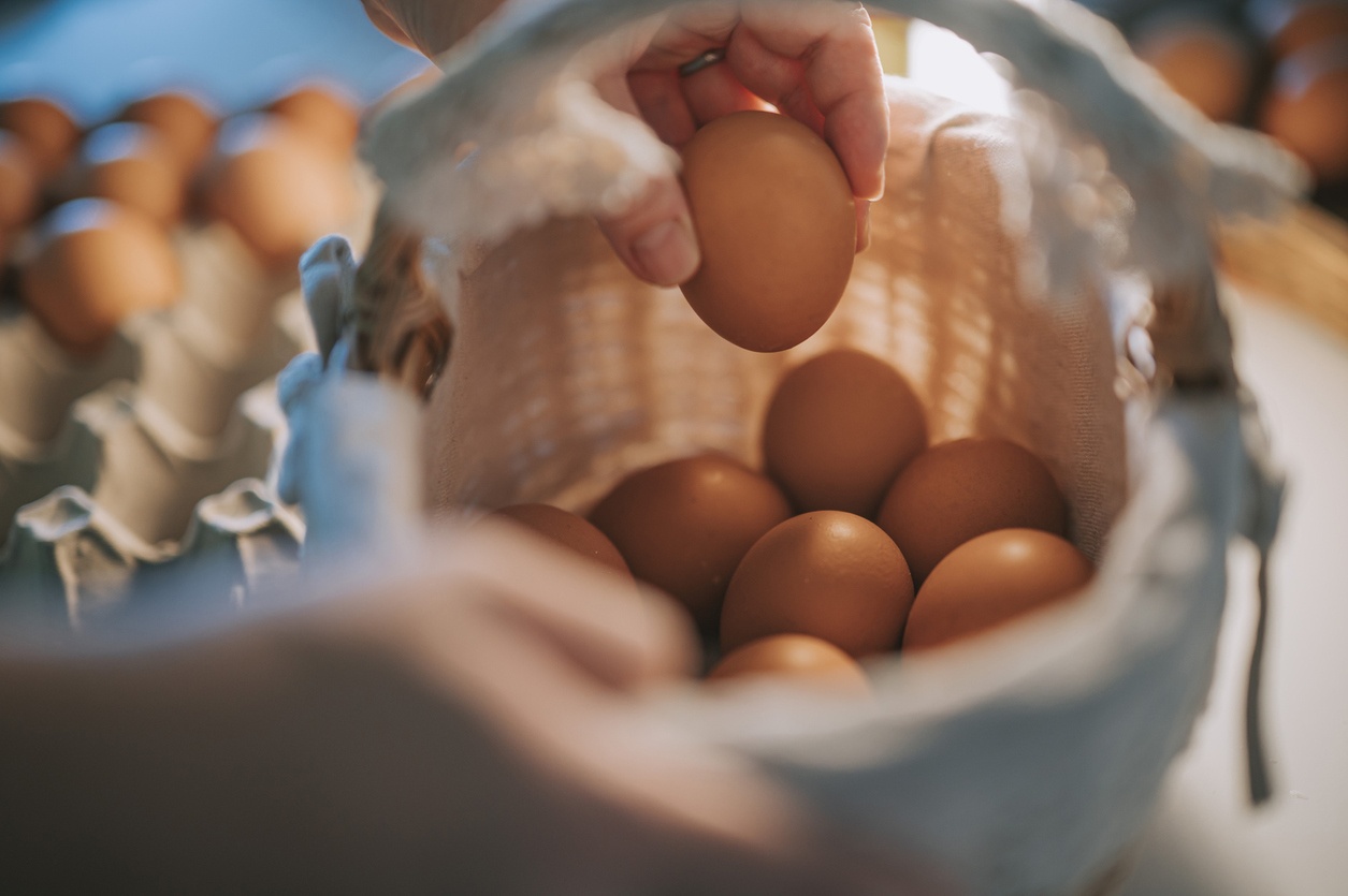 Huevos Huevos