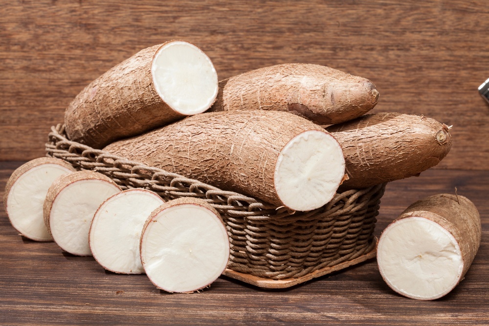Yuca Yuca