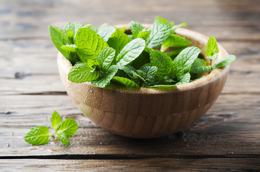 Menta Menta