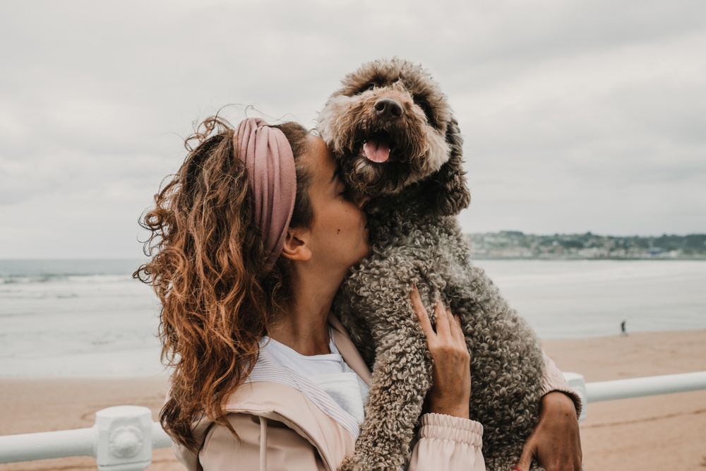 Piscis - Perro Piscis - Perro