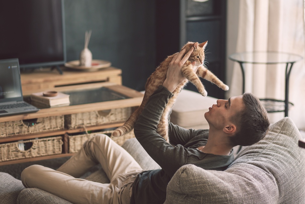 Un animal ideal para un apartamento Un animal ideal para un apartamento