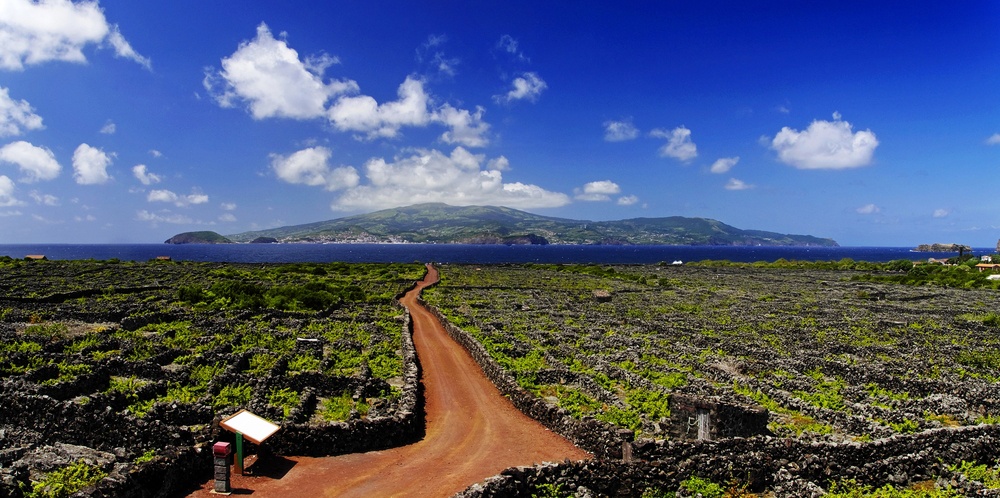 Paisaje Cultural de la Viña de la Isla de Pico en las Azores Paisaje Cultural de la Viña de la Isla de Pico en las Azores