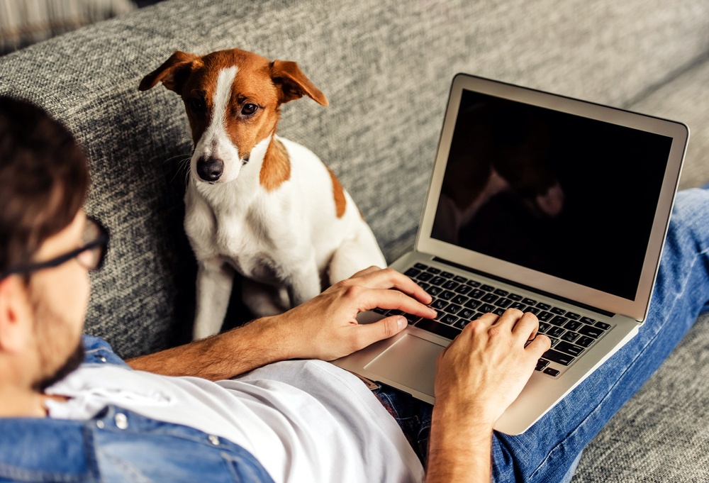 Pedir a un amigo que cuide temporalmente a tu perro Pedir a un amigo que cuide temporalmente a tu perro