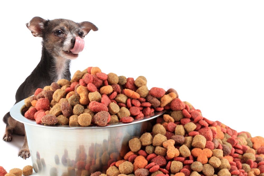 Sobrealimentar a tu perro Sobrealimentar a tu perro