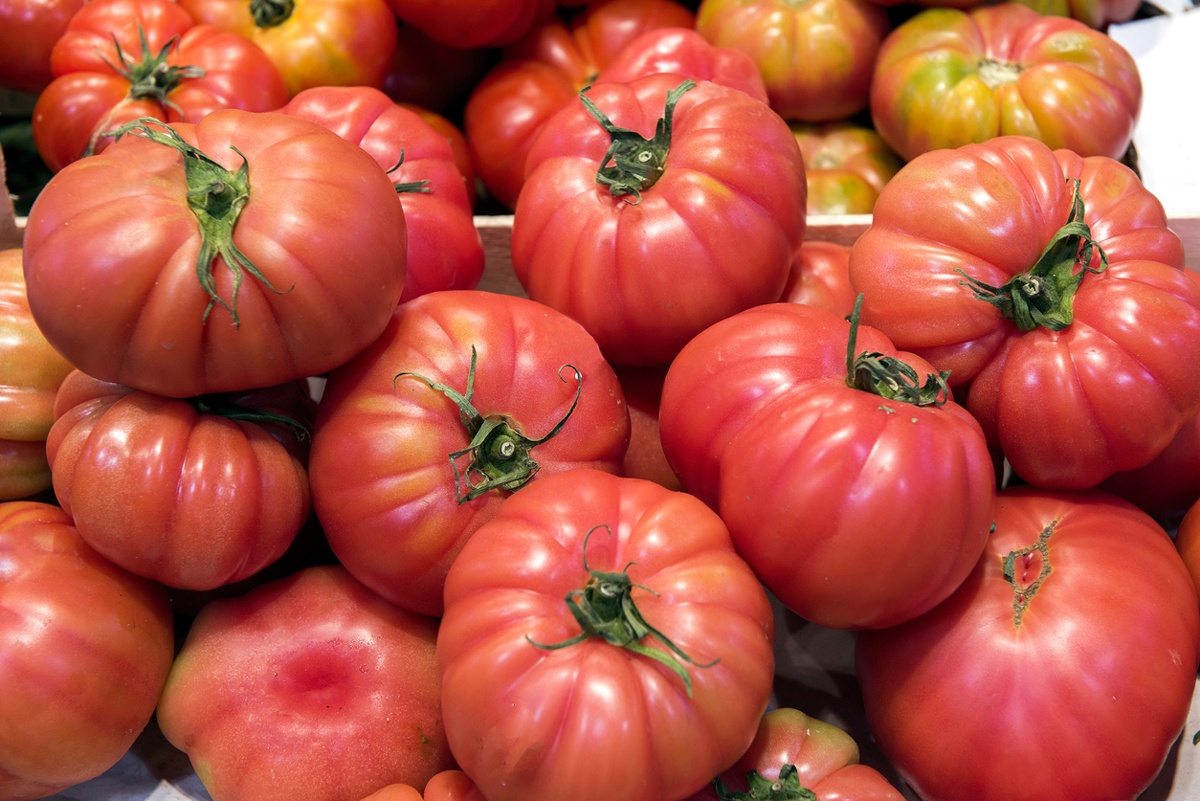 Tomates Tomates