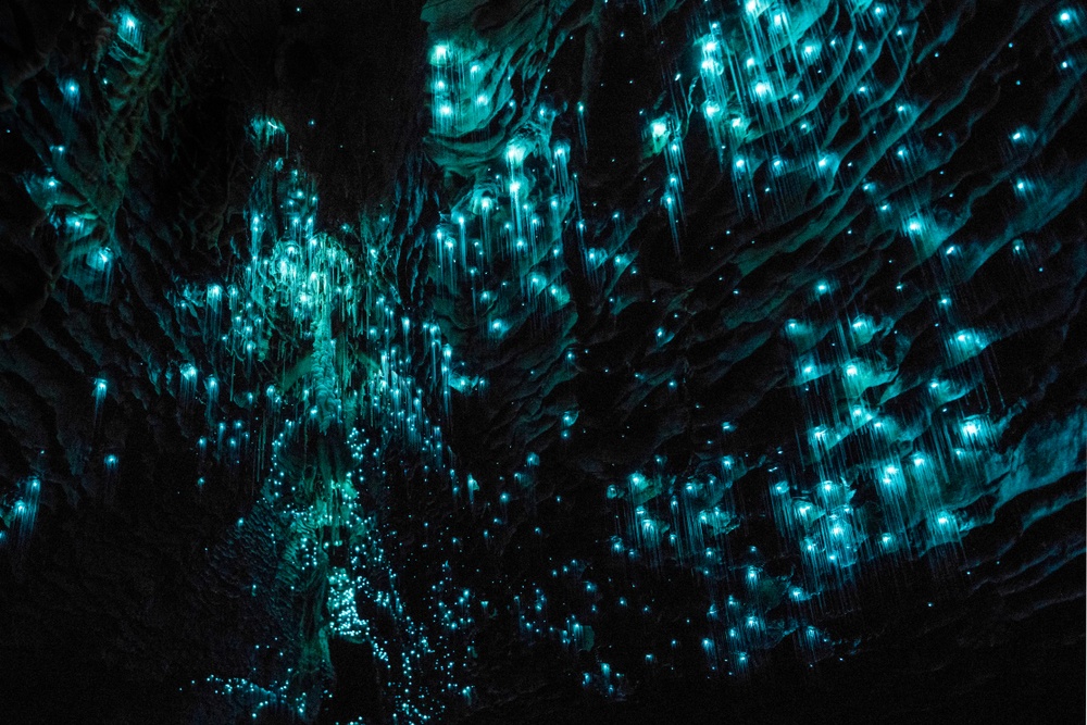 Cuevas de Glowworm (Nueva Zelanda)
